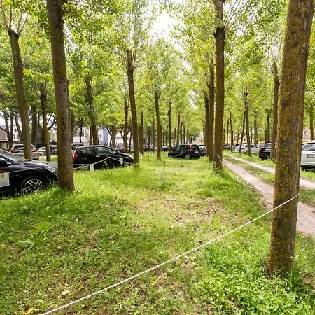 Apartment Lido Di Dante